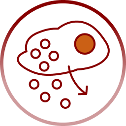 Increased release of pro-inflammatory cytokines from immune and skin cells